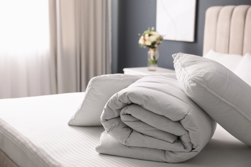 Duvet <span class="product-clor">(Any Size)</span>