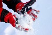 Ski Gloves