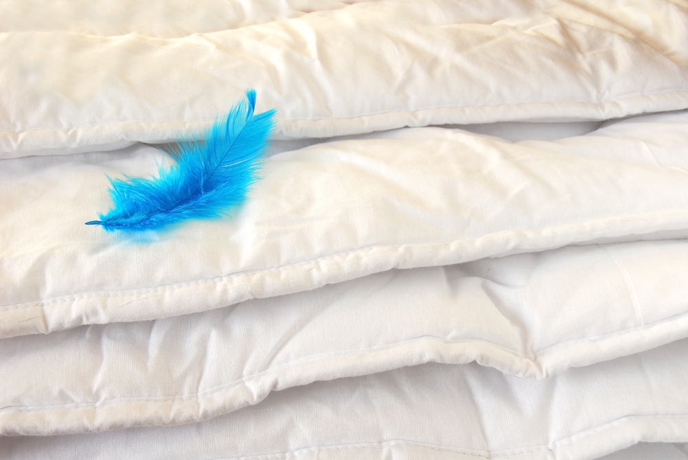 Duvet Feather <span class="product-clor">(Any Size)</span>