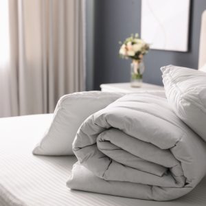 Duvet <span class="product-clor">(Any Size)</span>