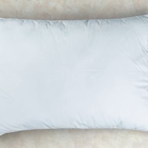 Cushion <span class="product-clor">(Large)</span>