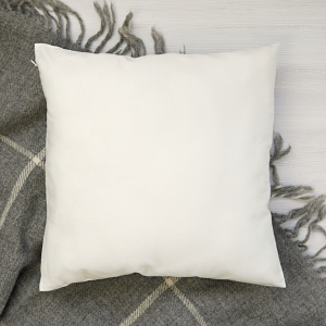 Cushion <span class="product-clor">(Small)</span>