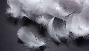 Pillow Feather