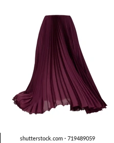 Pleated Skirt